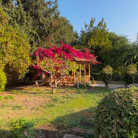 Heritage Homes Mehmet Ali Aga Konagi 4* Datça