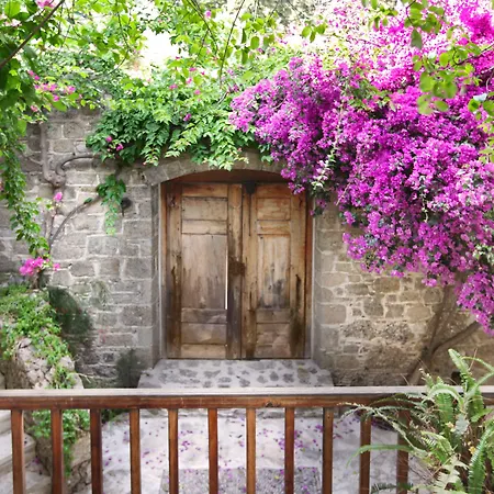 Heritage Homes Mehmet Ali Aga Konagi Guest house